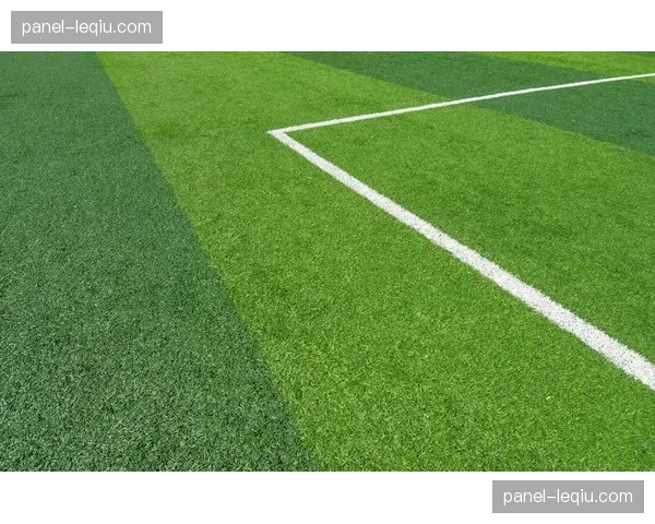 伯纳乌球场草皮完成季度维护，官方称将更有利于地面传切